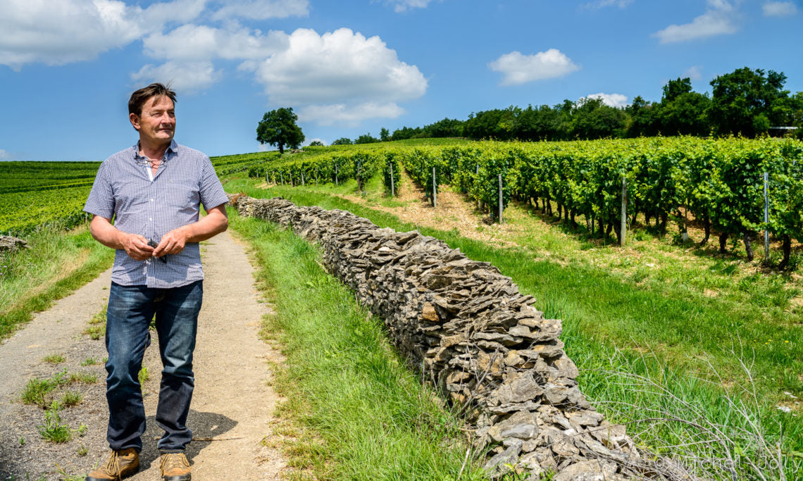 Domaine des Comte Lafon
